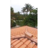 manutenção de telhados residenciais Alphaville